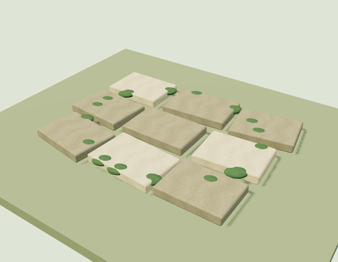 Mossy Stepping Stones