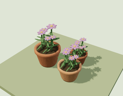 Terracotta Planters