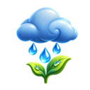 Rainy